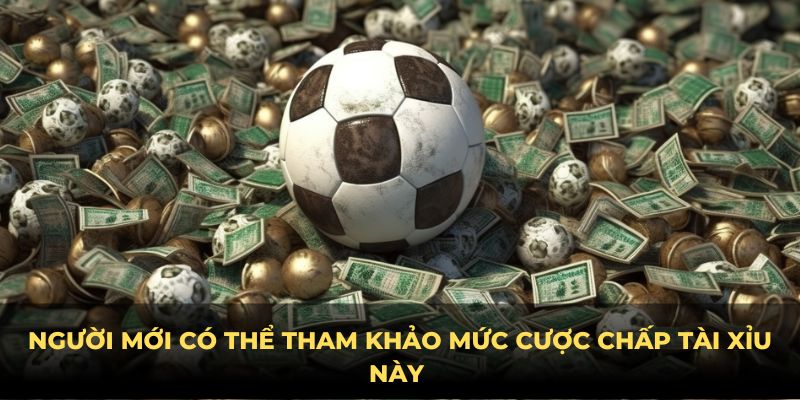 Người mới có thể tham khảo mức cược chấp tài xỉu này